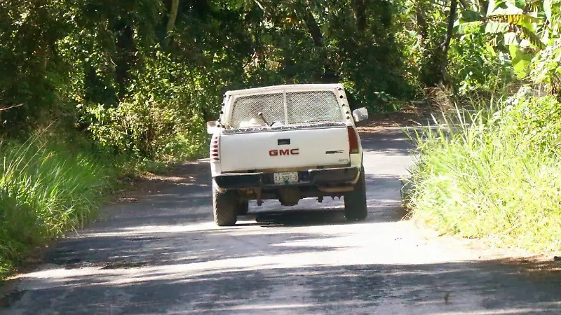 Carretera Palmar Estación-Palmarejo en malas condiciones